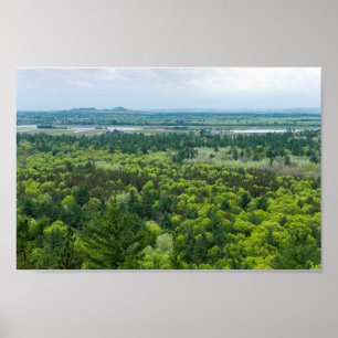 Aerialvy över skogen i Svartahavsområdet Poster