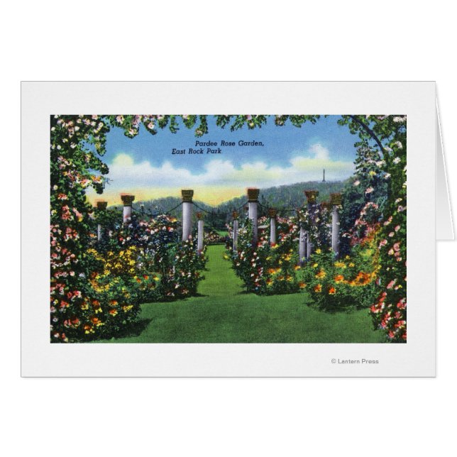 Aerialvy över Yale Bowl Stadium, Yale U Hälsningskort (Framsidan Horizontal)