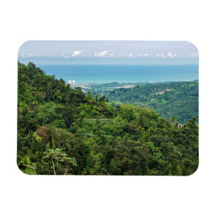 Aeriet för kustpuerto rico på el yunque magnet