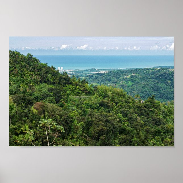 Aeriet för kustpuerto rico på el yunque poster (Framsidan)
