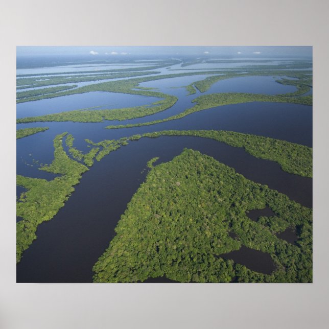 Aeriet i Anavilhanas Archipelago, översvämmat Poster (Framsidan)