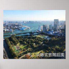 Aerivy över japanska Garden Poster