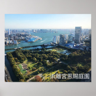 Aerivy över japanska Garden Poster
