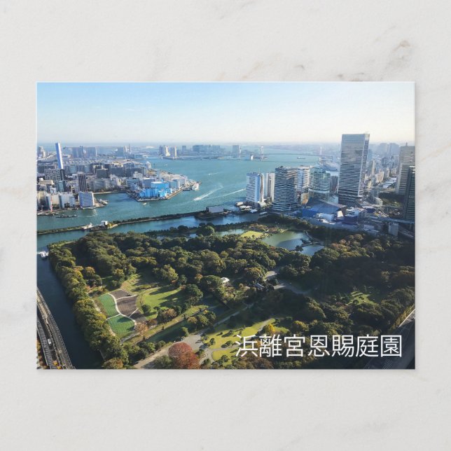 Aerivy över japanska Garden Vykort (Framsida)