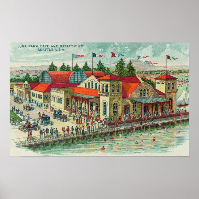 Aerivy över Luna Park Caf � och Natatorium Poster (Framsidan)