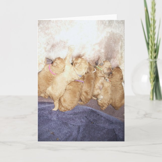 Aero-10 Kort (Framsida)