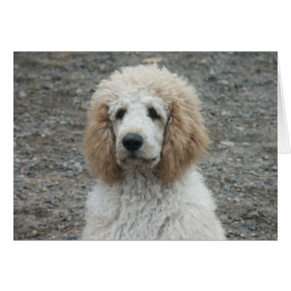 Aero-4 Hälsningskort