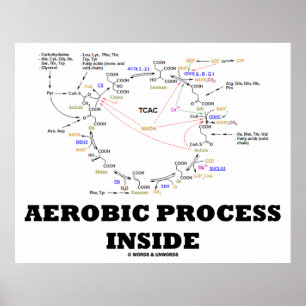Aerob Processaa insida (Krebs Cycle) Poster