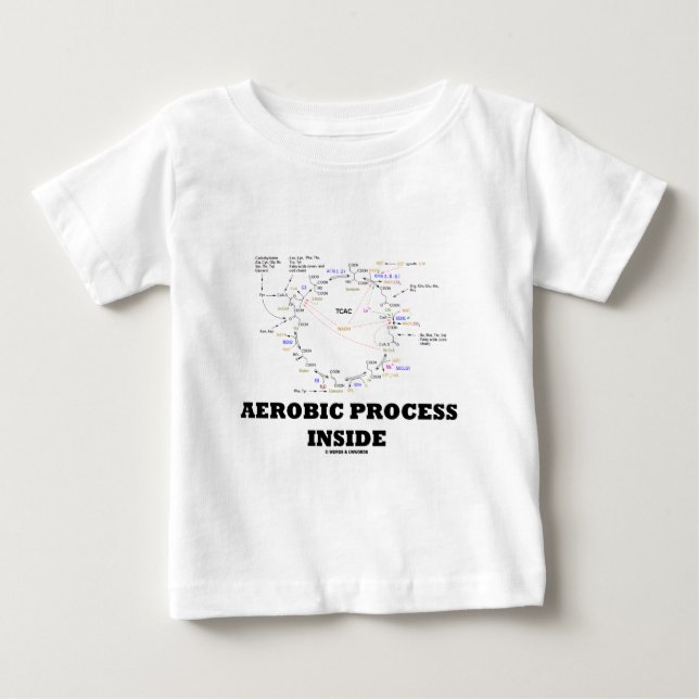 Aerob Processaa insida (Krebs Cycle) Tee (Framsida)