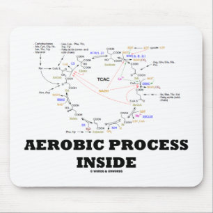Aerobisk processaa insida (Krebs cyklar), Musmatta