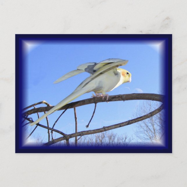 Aerodynamiska vykort (Framsida)