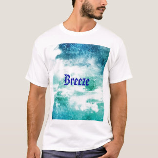 aerophysics tee shirt