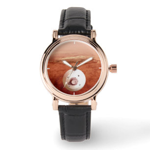 Aeroshell med bestående lutning mot marsmark armbandsur