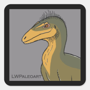 Aerosteon Square Stickers Fyrkantigt Klistermärke