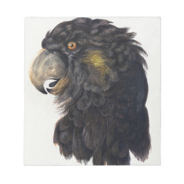 Aert Schouman Bird Head Anteckningsblock