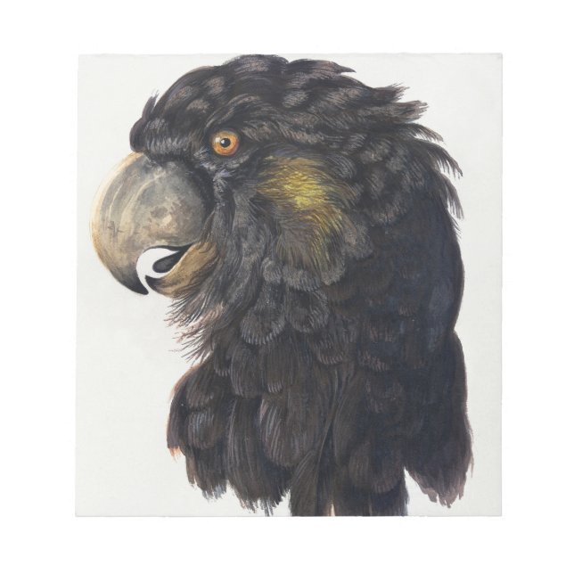 Aert Schouman Bird Head Anteckningsblock (Framsida)