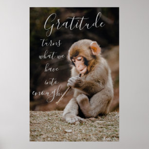 Aesop Gratitude Quote, apa Poster