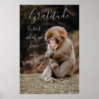 Aesop Gratitude Quote, apa Poster