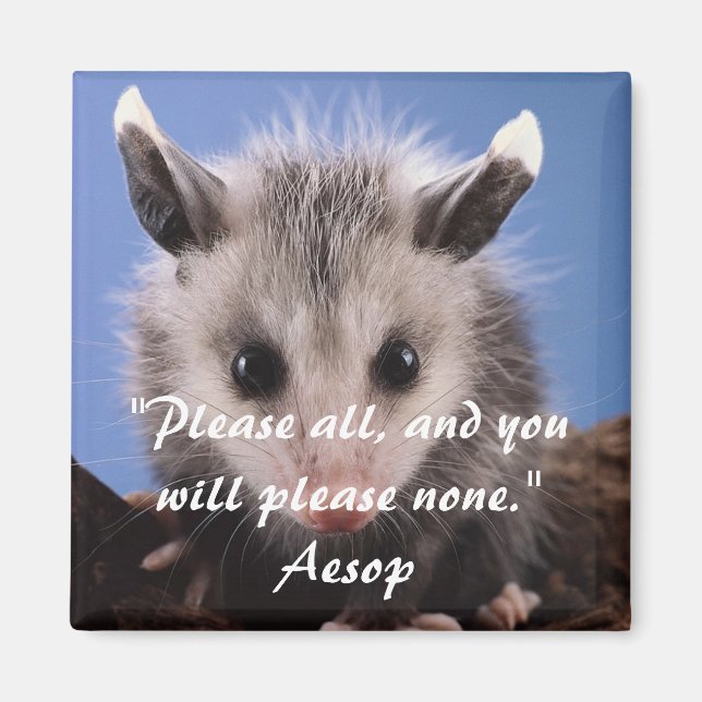 Aesop Quote & Adsible Opossum Magnet (Framsidan)