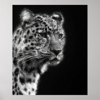 Aesthetic Leopard Cheetah Ansikte sketch art Poster