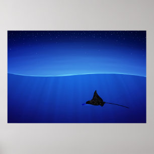 Aetobatus narinari poster