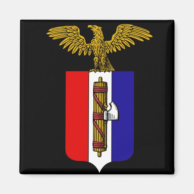 AfA:Alternativt för Amerika Magnet (Framsidan)