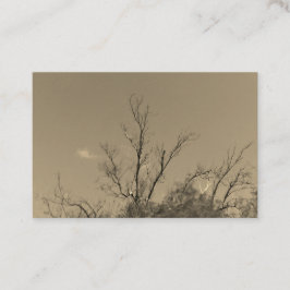 Affärskort ART&DESIGN STIL Visitkort