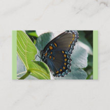 Affärskort av fjärilar