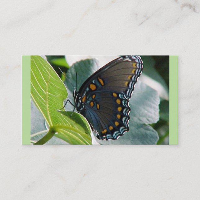 Affärskort av fjärilar visitkort (Framsida)