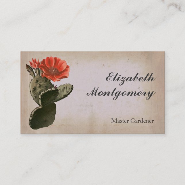 Affärskort för Desert Cactus Flower Professionell Visitkort (Framsida)