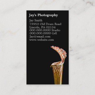 Affärskort för Floral Photography Visitkort