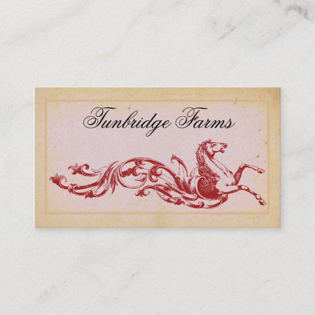 Affärskort för hästgårdströjning visitkort (Framsida)