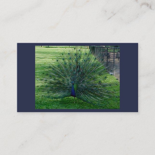 Affärskort för husdjur visitkort (Framsida)