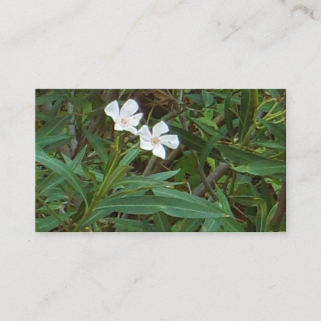 AFFÄRSKORT FÖR KONSTRUKTION OCH UTFORMNING VISITKORT (Framsida)