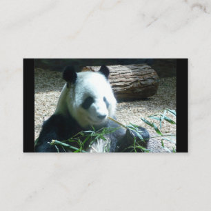 Affärskort för Pandarbjörn Visitkort