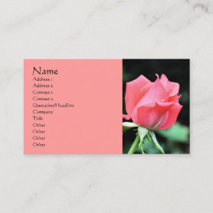 Affärskort för rosa Rosenknopp Blomsterfotografi Visitkort