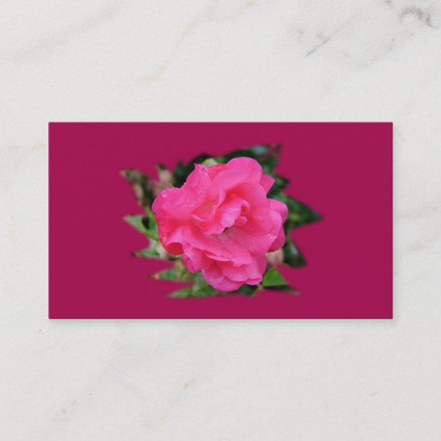affärskort för samarbete, rosa ros visitkort (Framsida)
