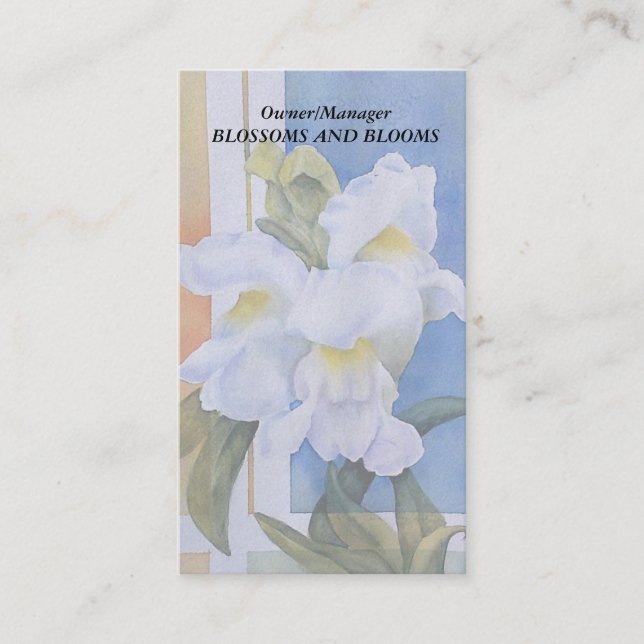 AFFÄRSKORT FÖR VITE SNAP DRAGONS-ANPASSADE VISITKORT (Framsida)