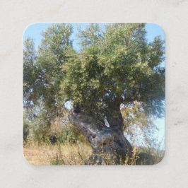 Affärskort gamla träd-design stil fyrkantigt visitkort