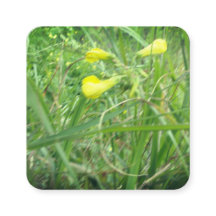 AFFÄRSKORT&KONSTRUERA STIL