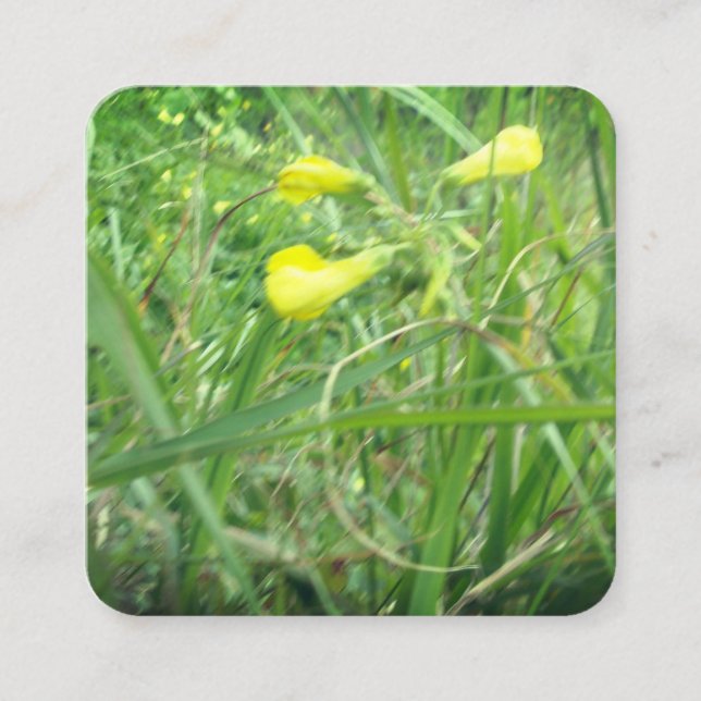 AFFÄRSKORT&KONSTRUERA STIL FYRKANTIGT VISITKORT (Framsida)