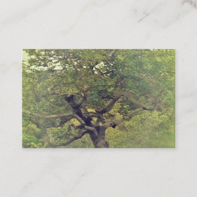 Affärskort&KONSTRUERA STIL Visitkort (Framsida)