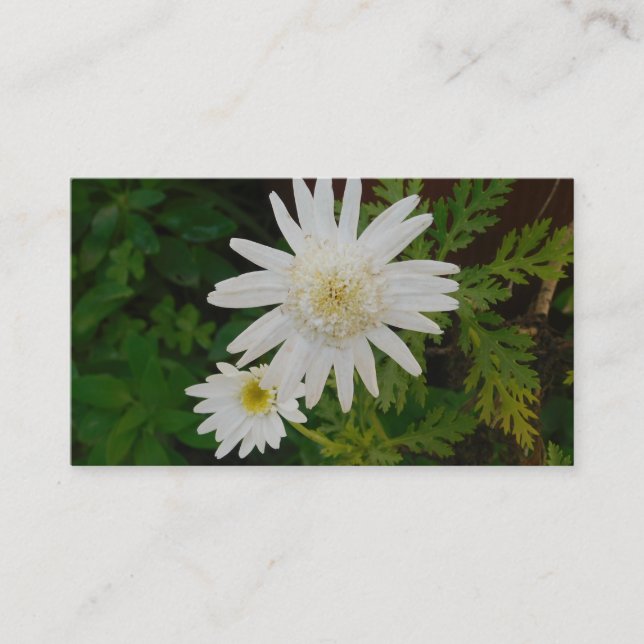 AFFÄRSKORT&KONSTRUERA STIL VISITKORT (Framsida)