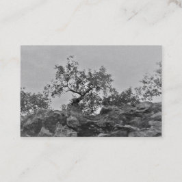 Affärskort&KONSTRUERA STIL Visitkort