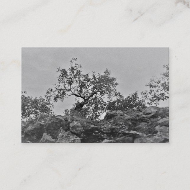 Affärskort&KONSTRUERA STIL Visitkort (Framsida)