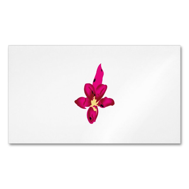 Affärskort Magnet (Framsida)