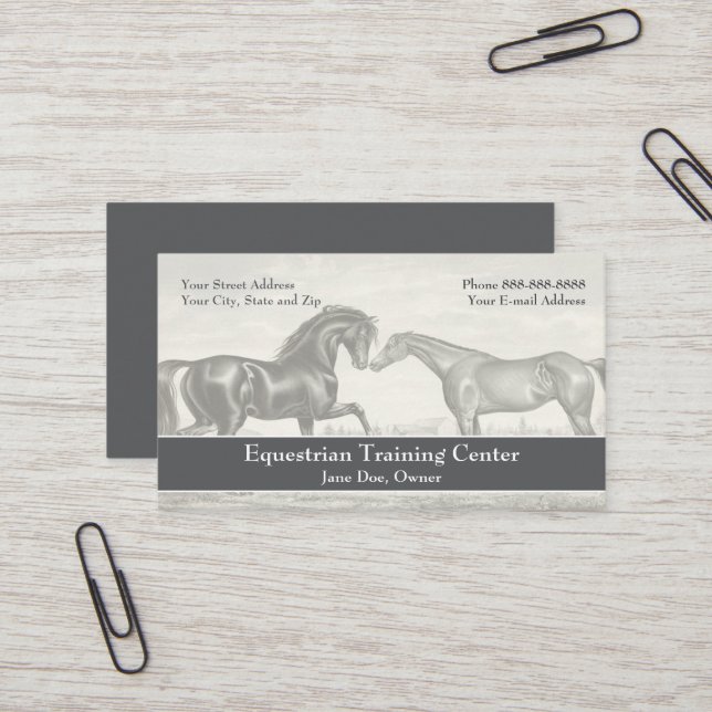 Affärskort Visitkort (Fram/Back In Situ)