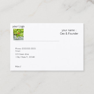 Affärskort Visitkort