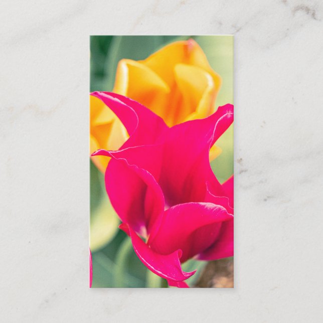 Affärskort Visitkort (Framsida)