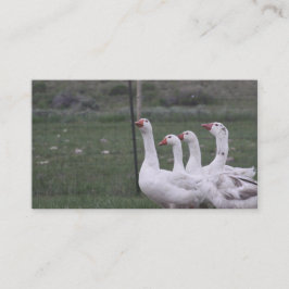 Affärskorten anka visitkort
